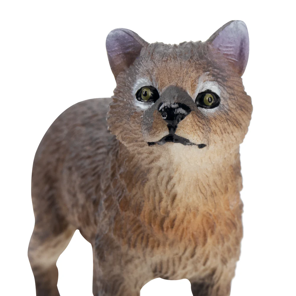Toymany Simulation Standing Gr - Action Figure Stand 리뷰 및 가격