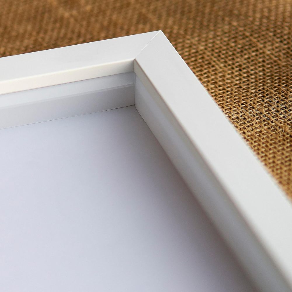 14x50 Solid Wood Display Case  - Display Case Acrylic 리뷰 및 가격