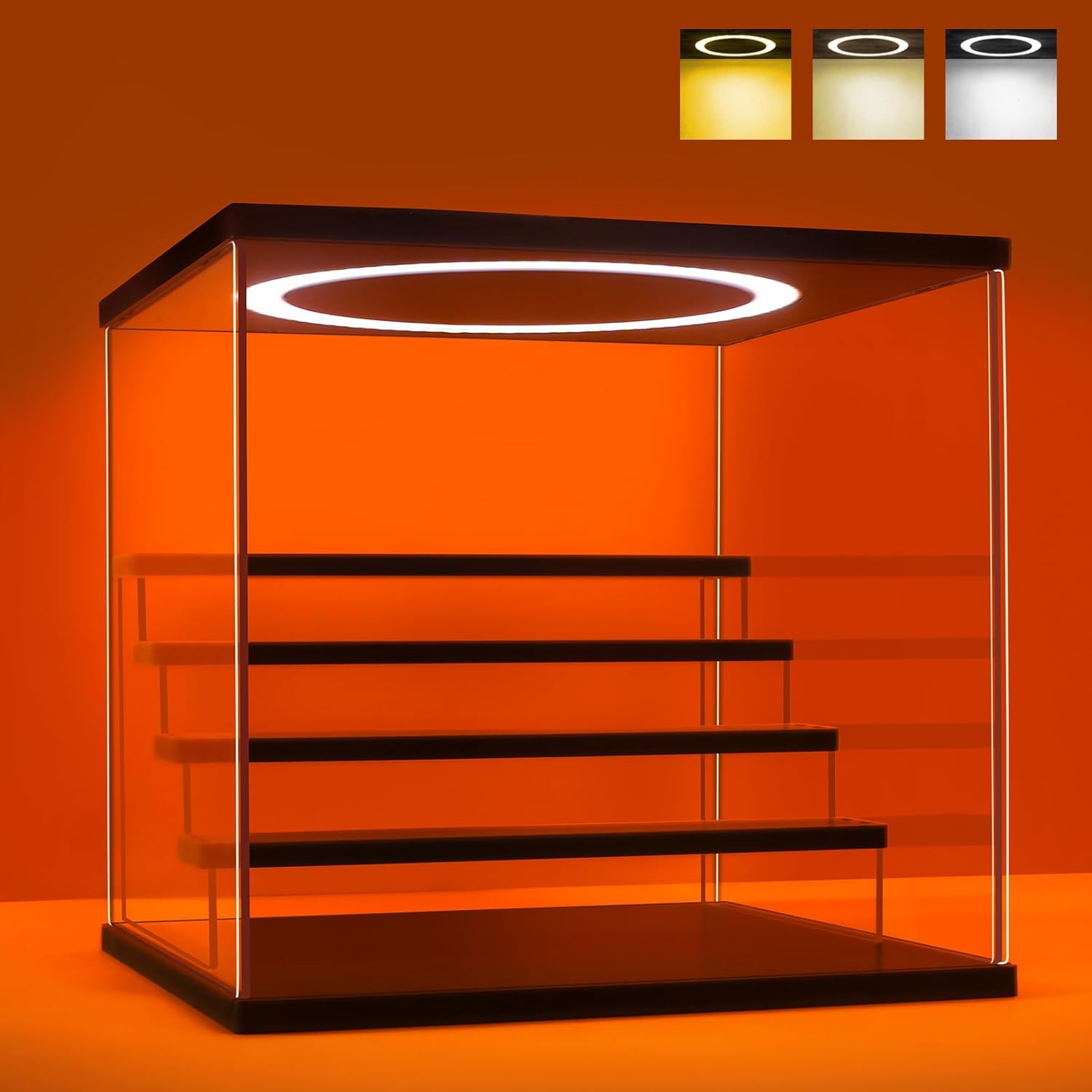 Acrylic Display Case with Adju - Display Case Acrylic 리뷰 및 가격
