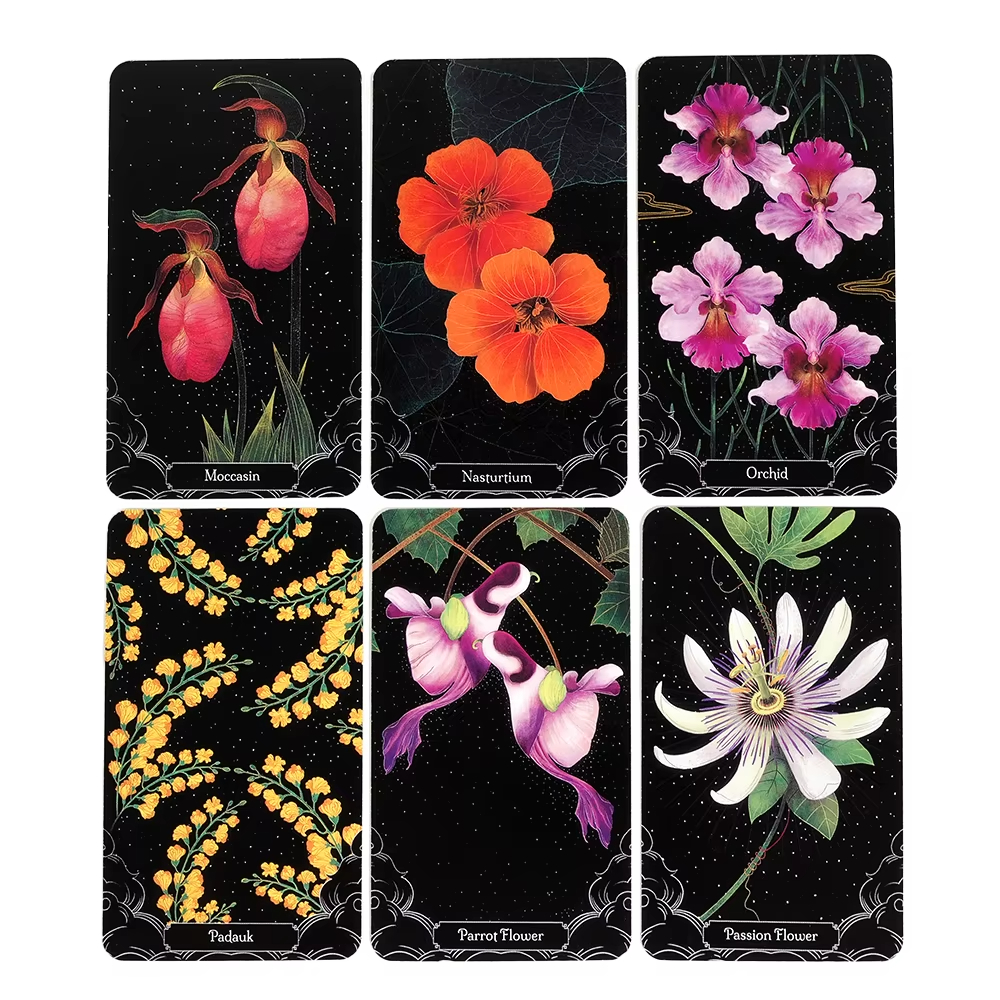 A Little Rain Botanical Oracle - Graded Card Display 리뷰 및 가격