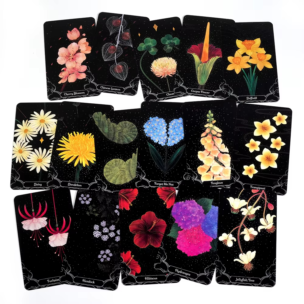 A Little Rain Botanical Oracle - Graded Card Display 리뷰 및 가격
